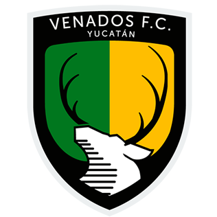 https://img.xingu56.com/img/football/team/c28028bd9f03205a308a016f39e238f6.png